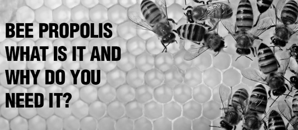 Bee Propolis Benefits and Uses