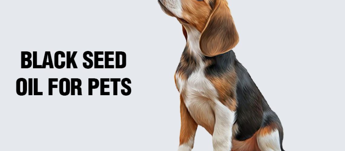 Black-Seed-Oil-for-Pets Black-Seed-Oil-for-Pets