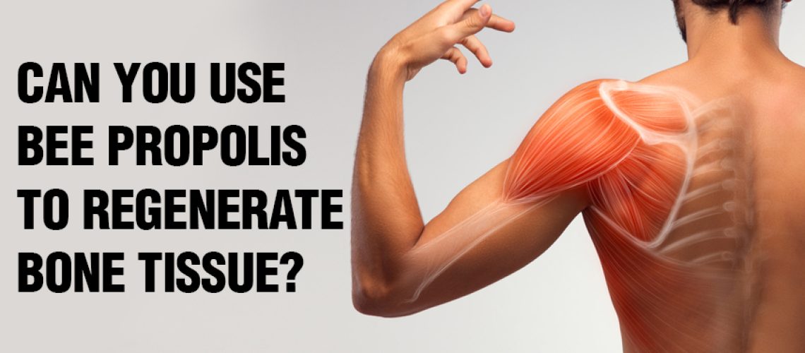 Can-You-Use-Bee-Propolis-to-Regenerate-Bone-Tissue-2