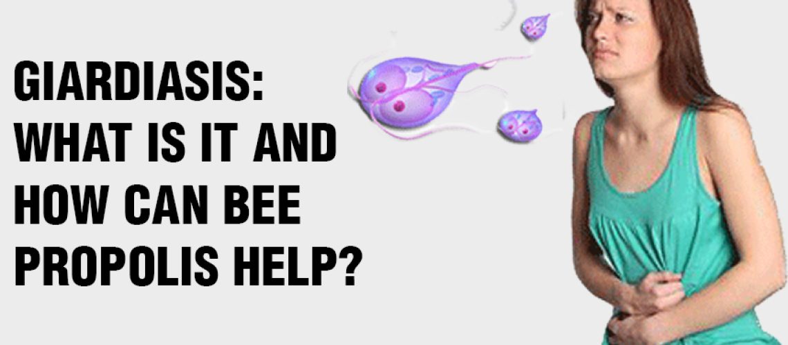 Giardiasis and Bee Propolis