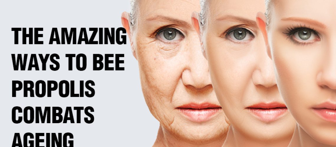 The-Amazing-Ways-to-Bee-Propolis-Combats-Ageing